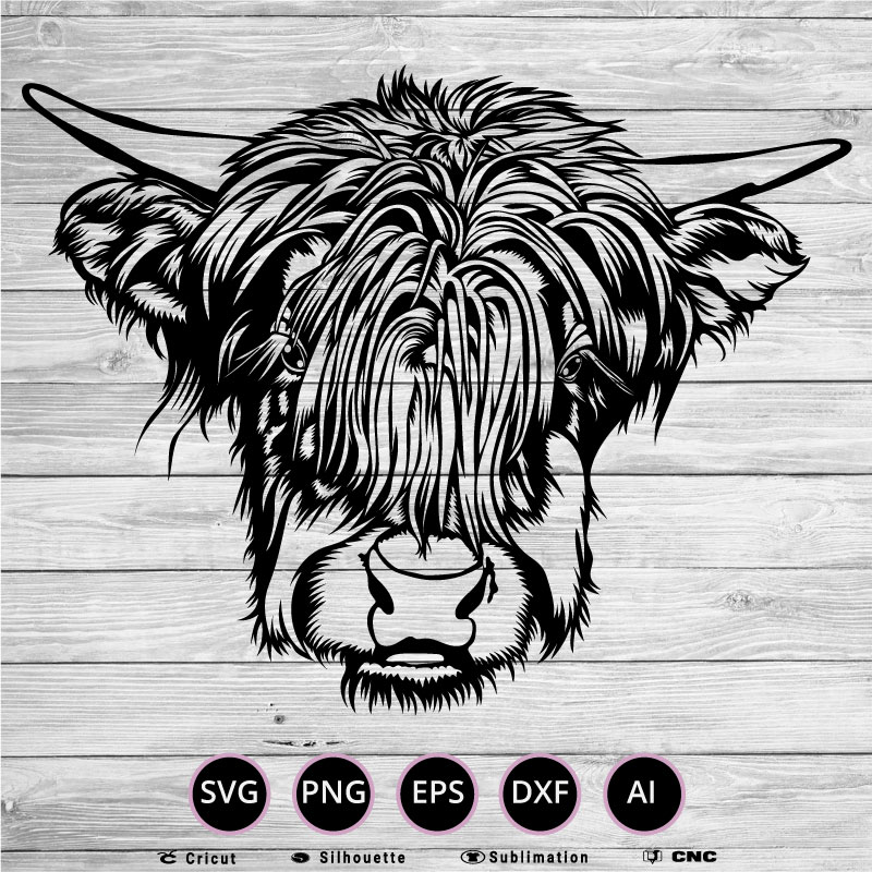 Highland cow SVG PNG